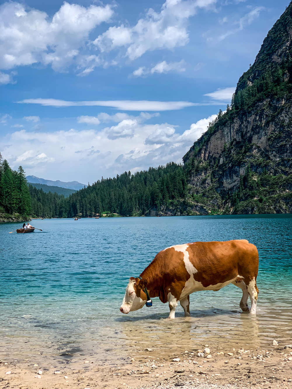 62d03cf21fe80109dc59152b Pragser Wildsee